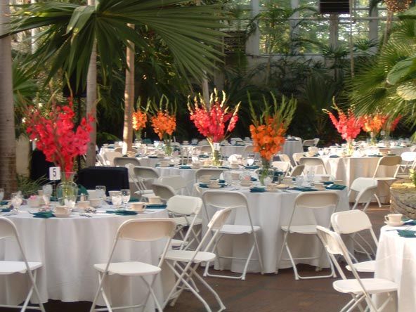 Wedding in the Palm Room at Franklin Park