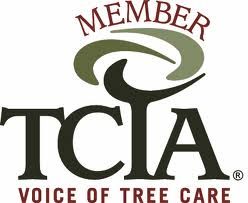 Proud To Be A Memeber of TCIA