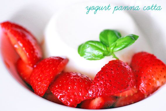 Homemade Panna Cotta