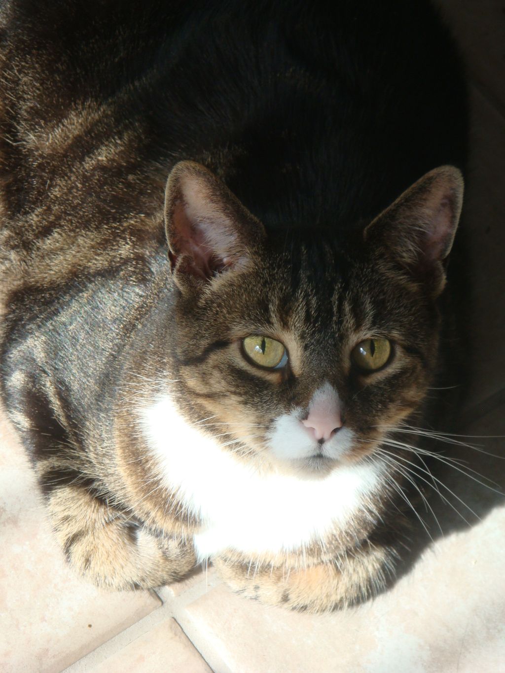 Emmy is shy about her good looks, but enjoys lots 