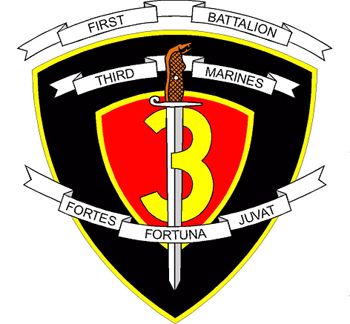 1st Bn/3rd Marines