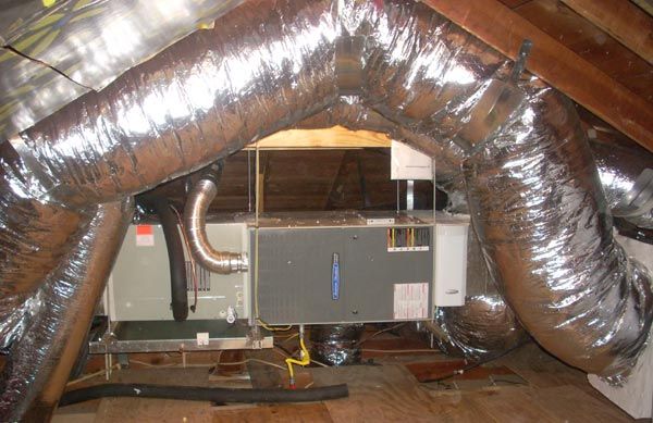 Hanging out in the attic.