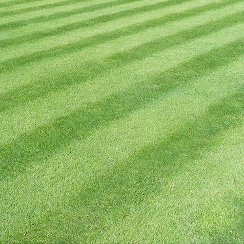 Wades Lawn Service offers Lawn Striping