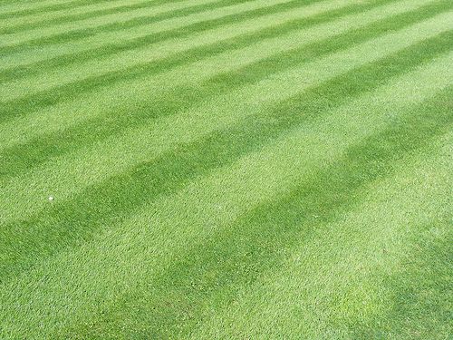 Wades Lawn Service offers Lawn Striping