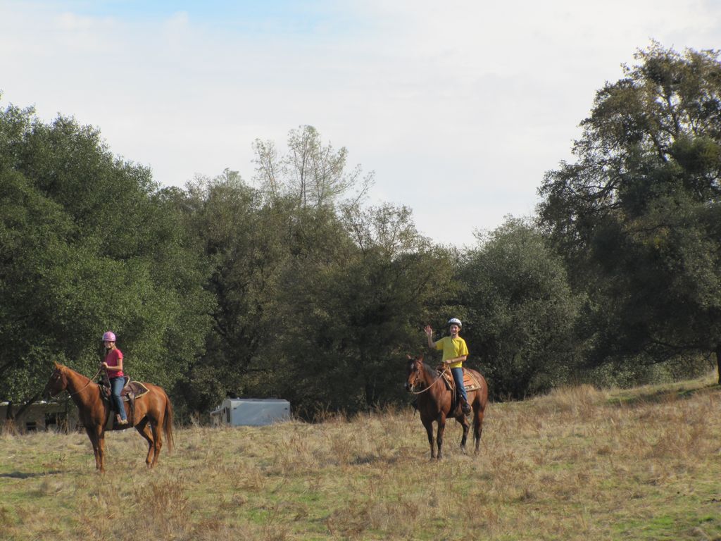 Laughton Ranch Horse Boarding & Lessons