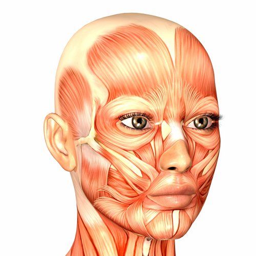 Japanese Cosmo Face-Lift