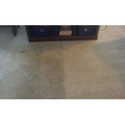 Carpet Cleaning Results