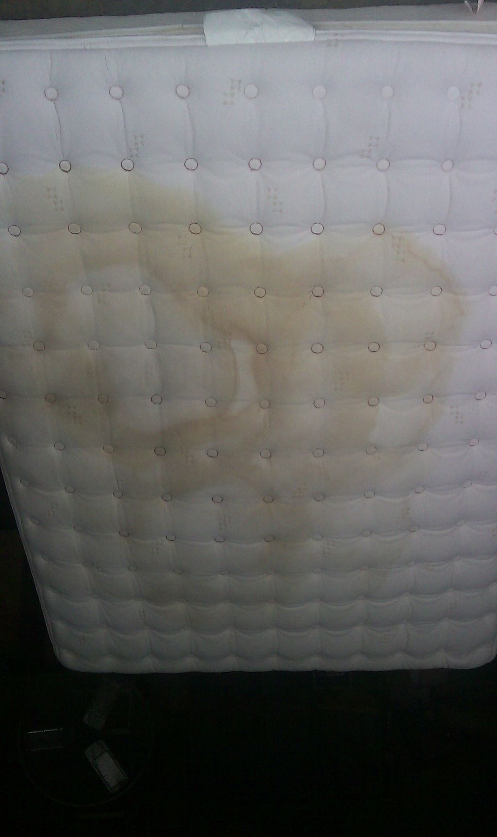 Mattress Cleaning Before