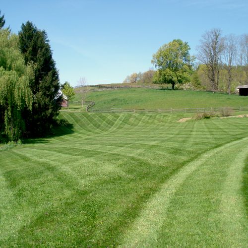 Residential lawn care in Salt Point NY