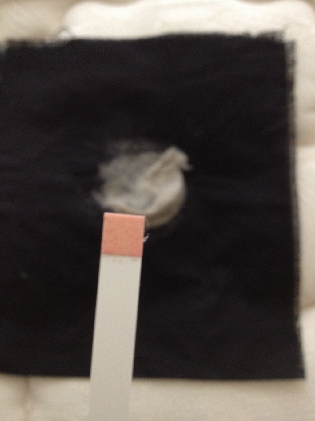 Positive Dust mite test
