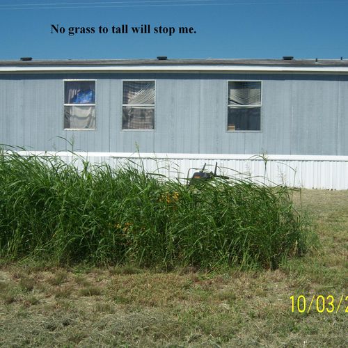 No grass too tall will stop us!
