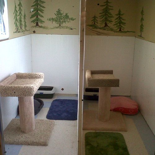 Our cat rooms.