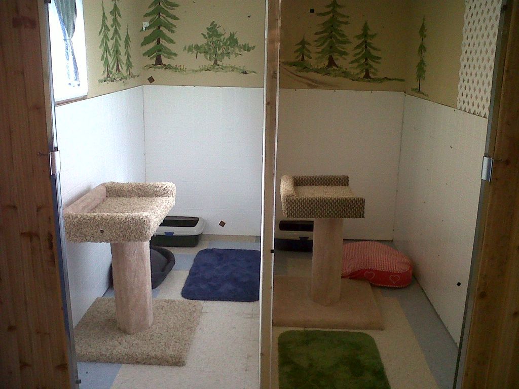 Our cat rooms.