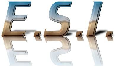 Enddo Systems International