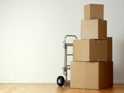 Packing / Moving / Storing Available