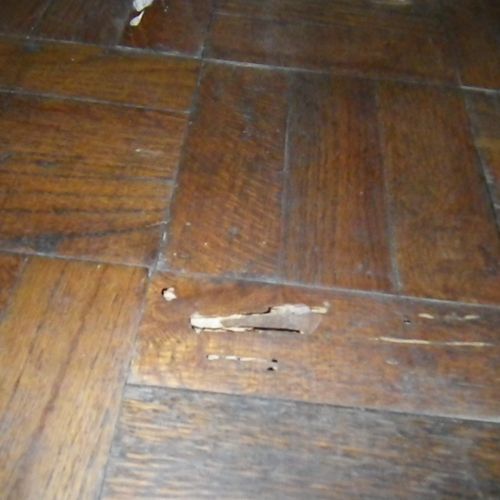 Termite damage to the floor