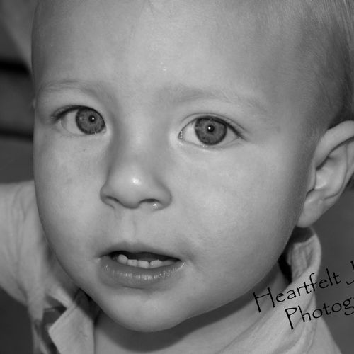 Baby Portraits Available!