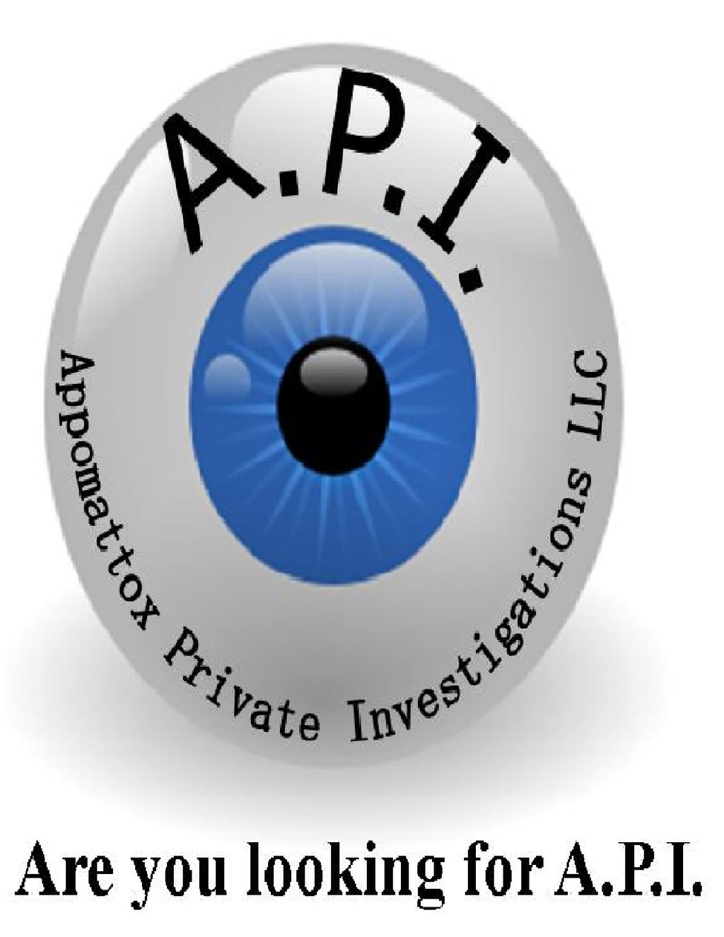 Appomattox Private Investigations LLC