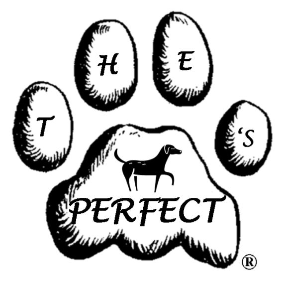 The Perfect Paws Indoor & Outdoor Puppy & Dog T...