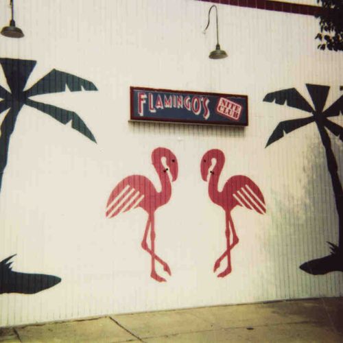 Sign Painted on the building of Flamingo's Night C