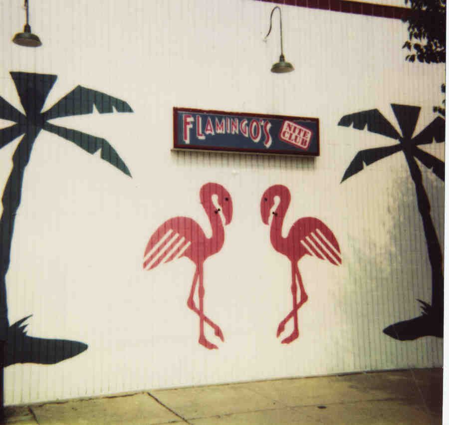 Sign Painted on the building of Flamingo's Night C