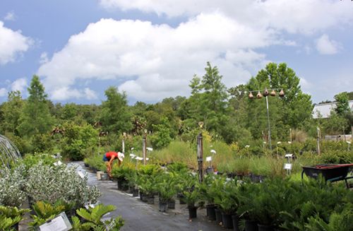 We're unique. We stock over a hundred varieties of