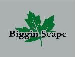 Biggin Scape Lawn Care & Landscaping