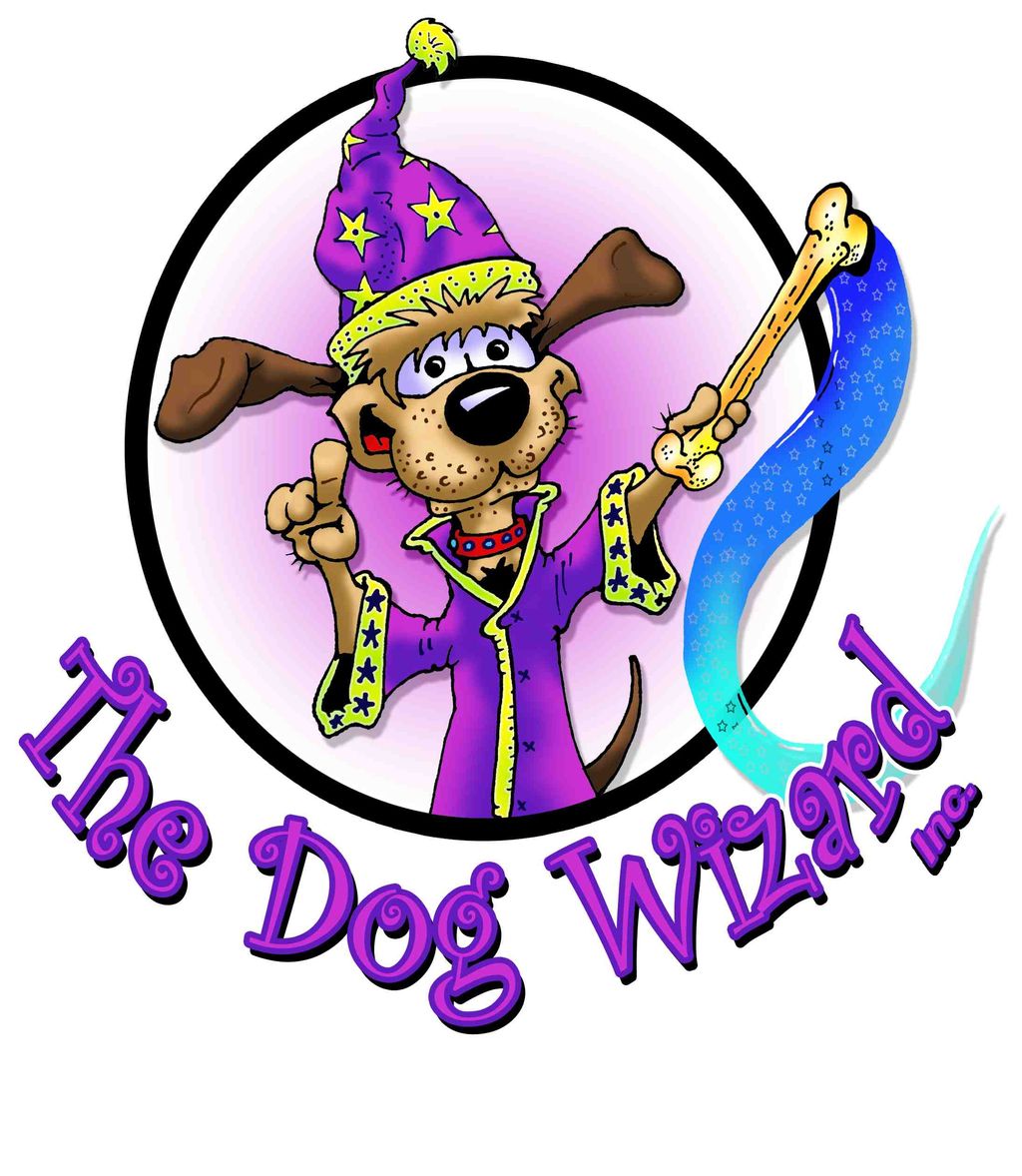 Charleston Dog Wizard