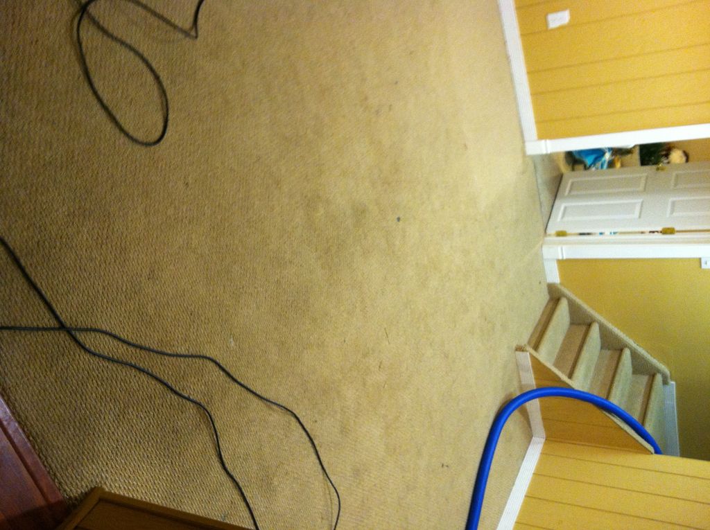 Before, this basement was covered in gum, grease, 