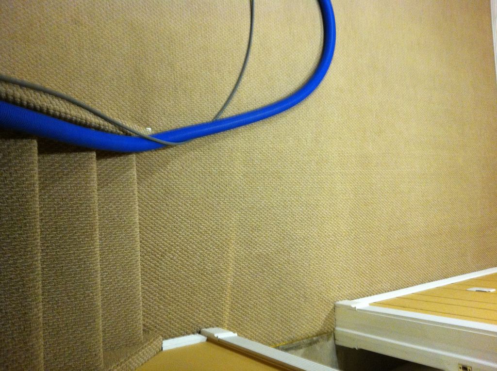 Now carpets are looking fresh and healthy.