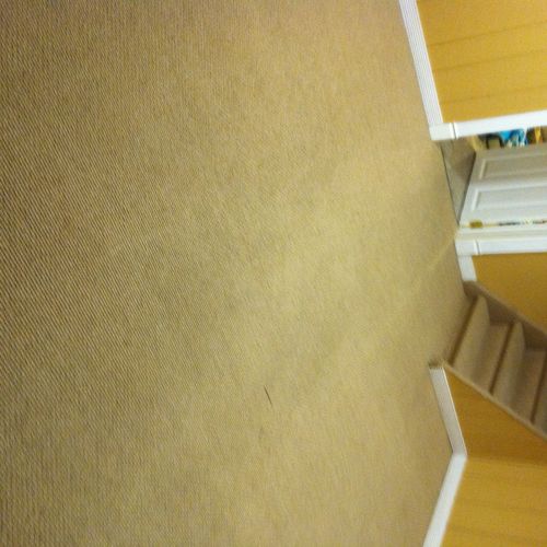 After, this carpet is steam cleaned, spotless, and
