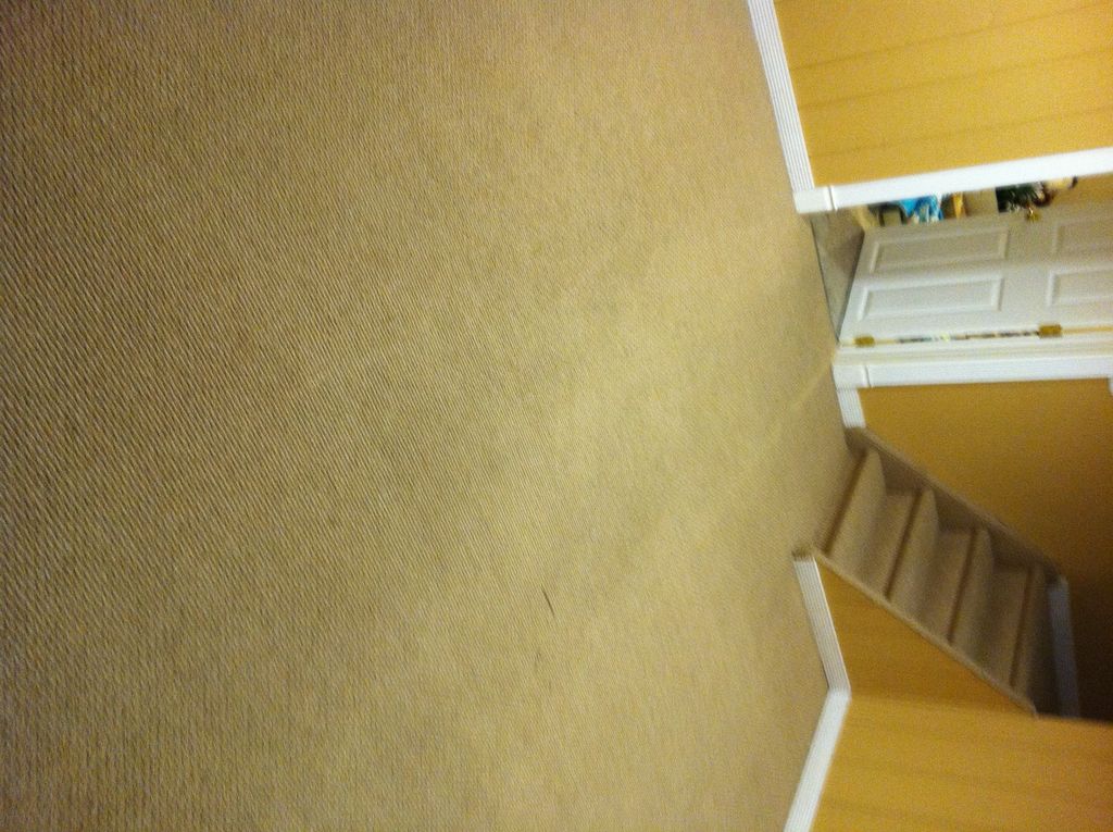 After, this carpet is steam cleaned, spotless, and