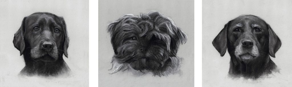 PennyPoo, Charcoal, 10"x10"