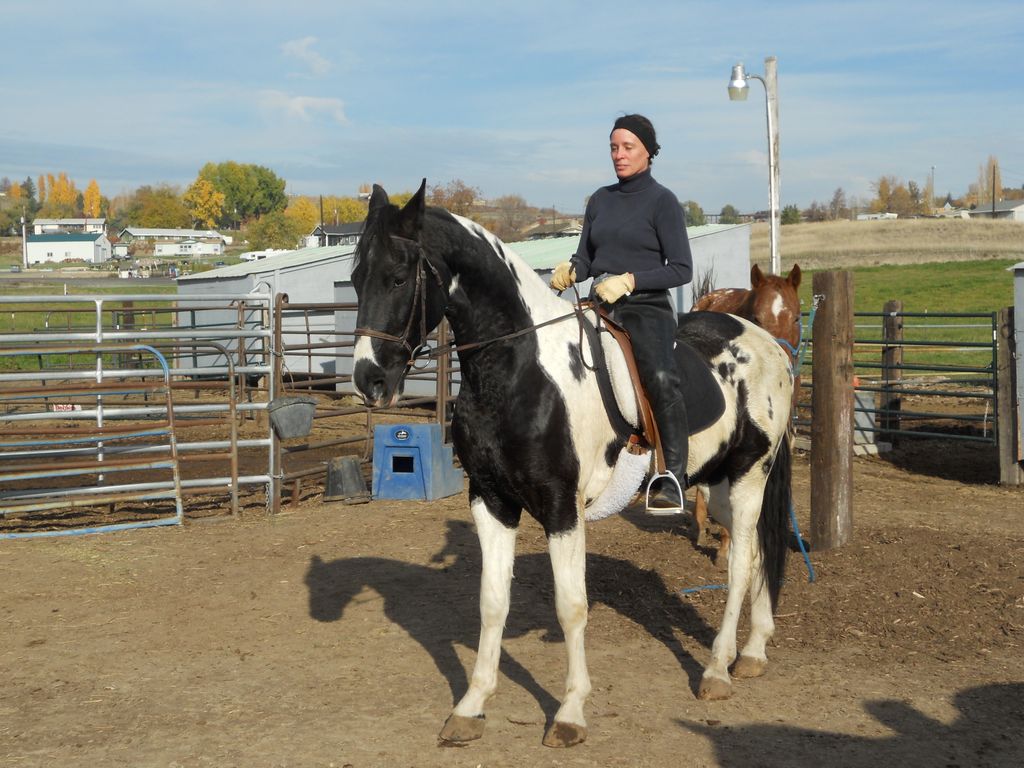 Horseback Riding Lessons With Eva Mertena