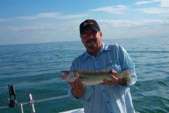 Lake Erie walleye