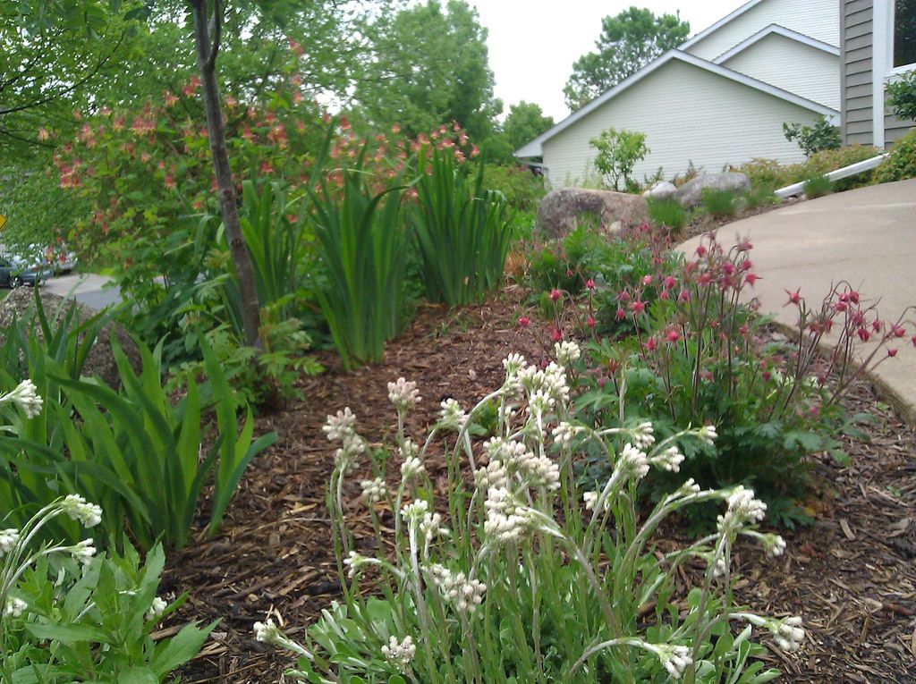 Ecoscapes Sustainable Landscaping LLC