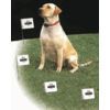 Flags are used as a visual tool to help your pet l