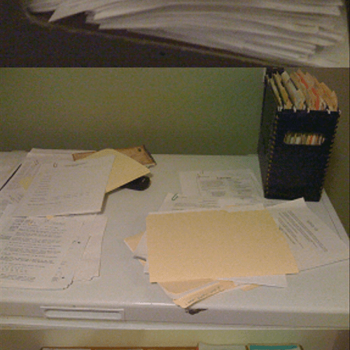 Paperwork Sorting and Organization, Filing and Fil