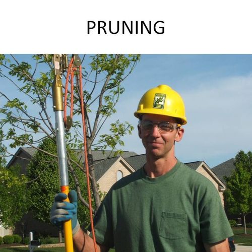 We offer a variety of specialized pruning includin