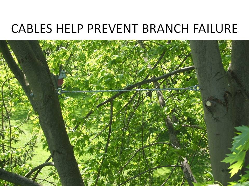 Cables are installed according to ANSI standards t