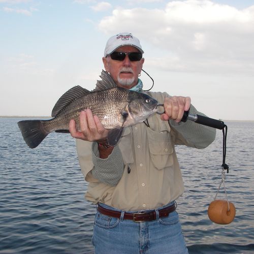 One of twelve black drum for Mike on a half day tr