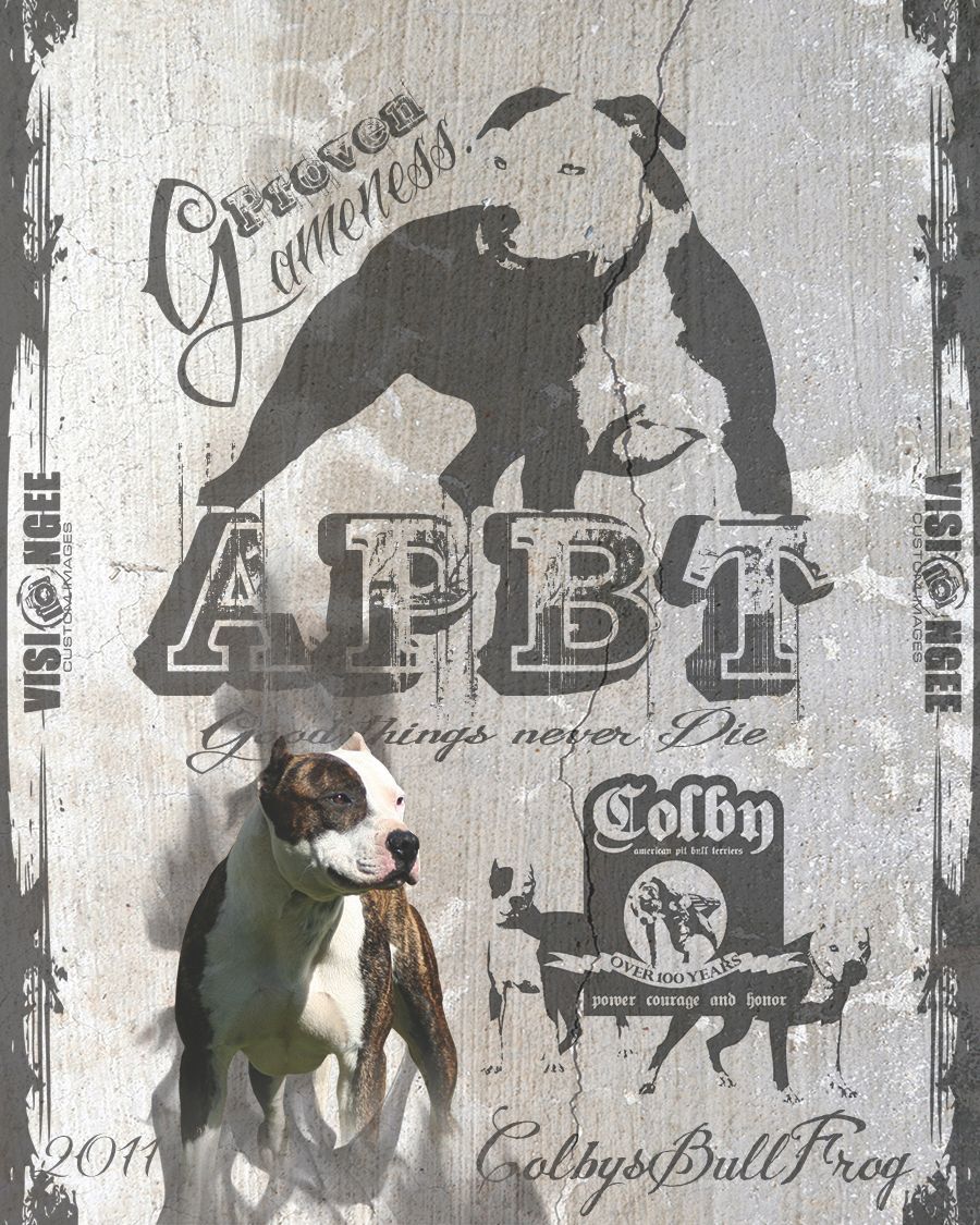 Stud Dog Flyer