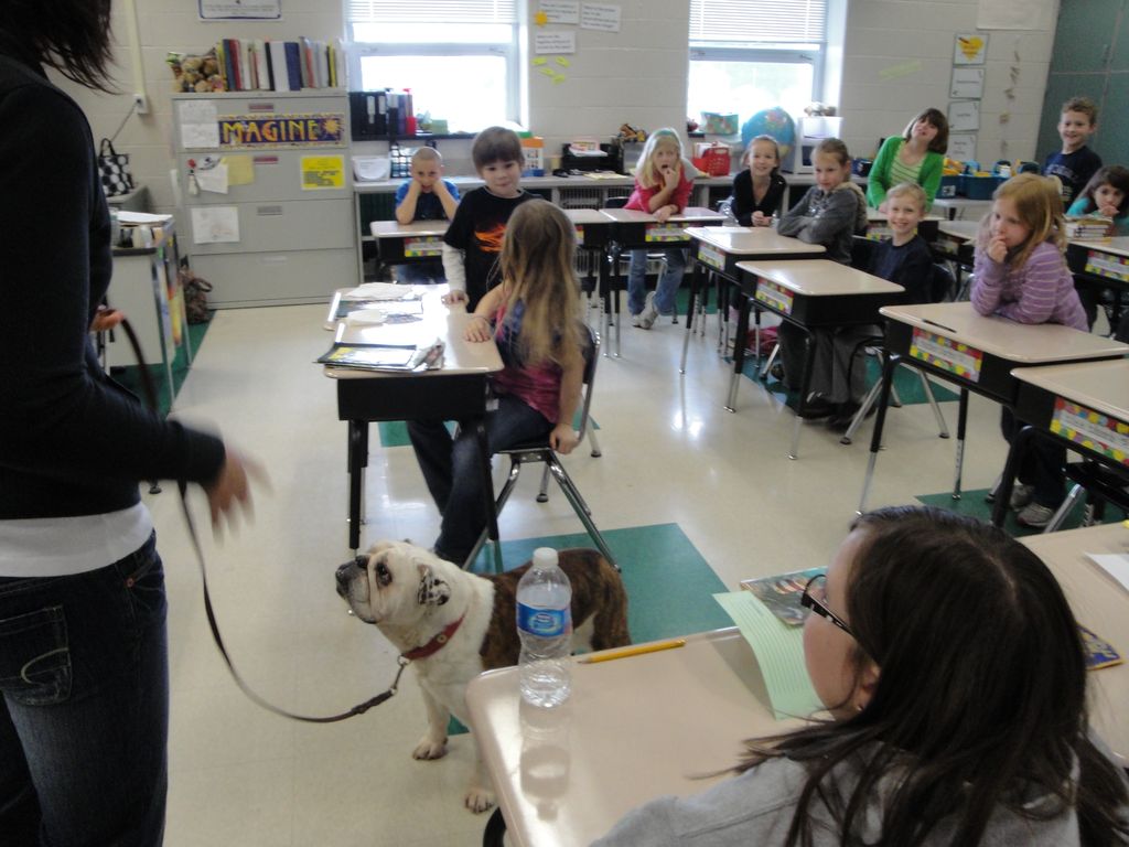 High Hopes helping with a demo at the elementary s