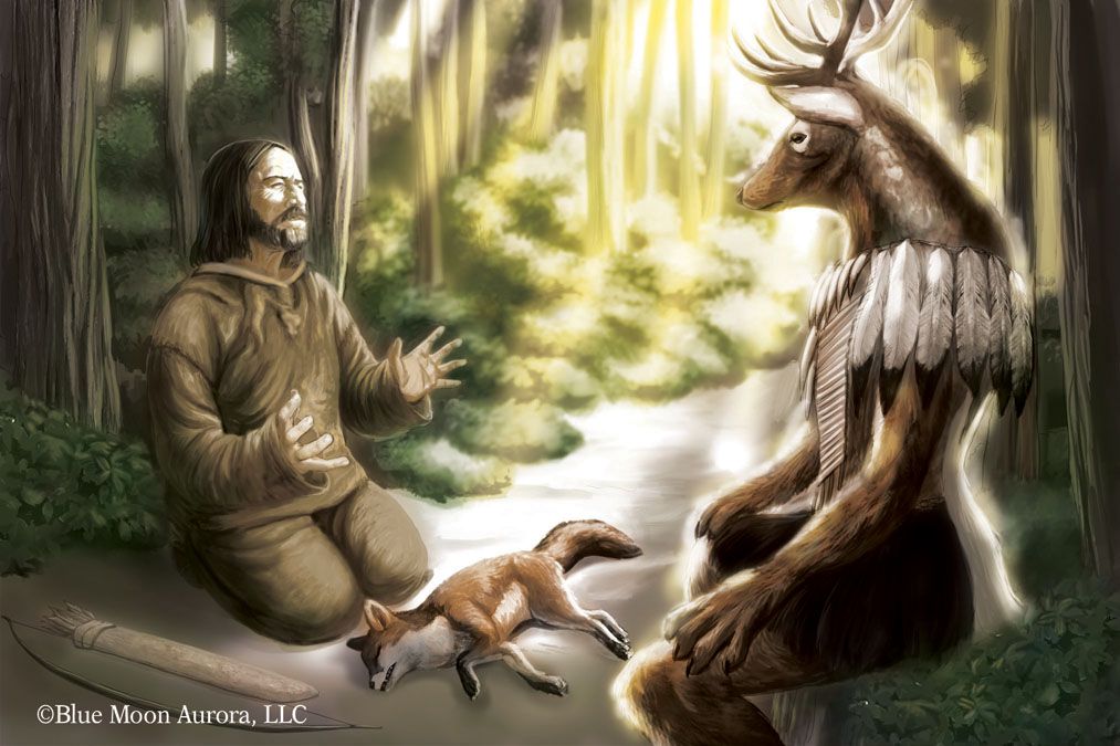 illustration rate: 145 per digital color image.