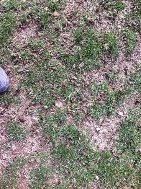 This is how a slice seeder works in an existing la