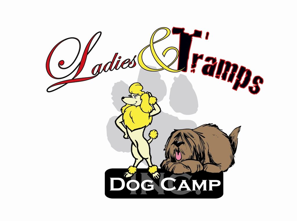 Ladies and Tramps Dog Camp