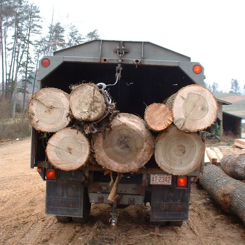 Logs hauled off