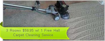 Carpet Steam Cleaning with Rotovac Power Wand