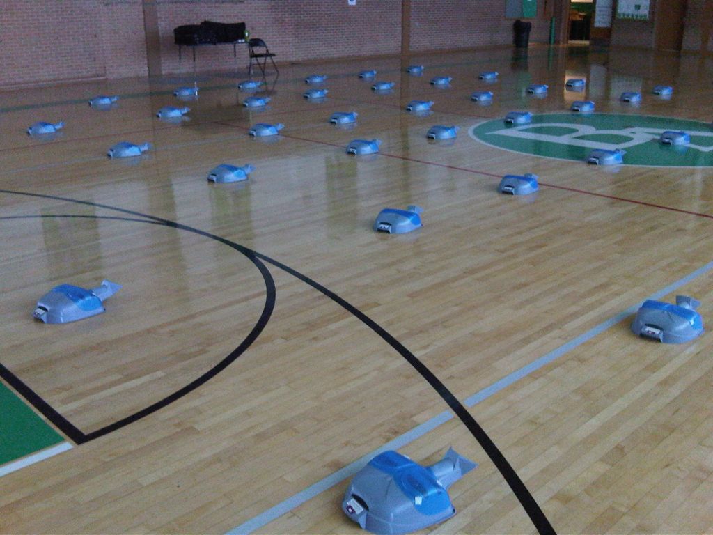 Enough manikins for 200 participants.  English and