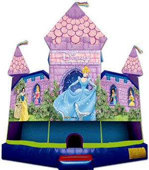 disney princess castle